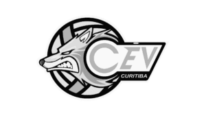 Agência de marketing digital MON Marketing especializada em estratégias de crescimento, tráfego pago, conteúdo, SEO, branding, sites e performance para empresas